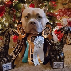 Meet your Posher, Mark n tamarah